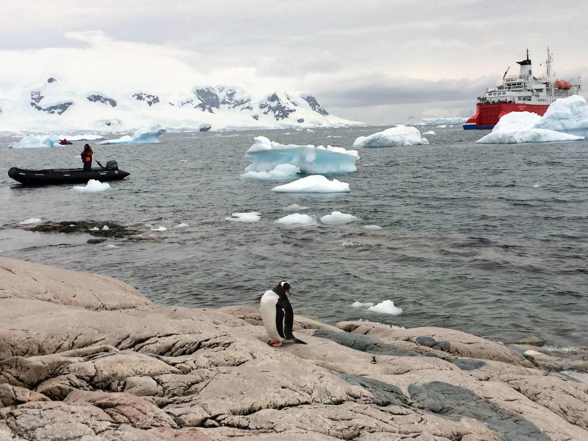 Continuation of the post “Argentina and Antarctica” - My, Argentina, National park, Travels, Antarctica, Tierra del Fuego, Reply to post, Longpost