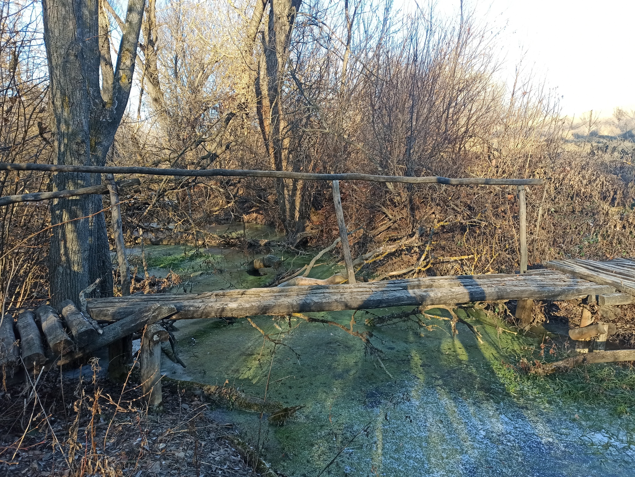 Little river - My, River, The photo, Nature, Bridge