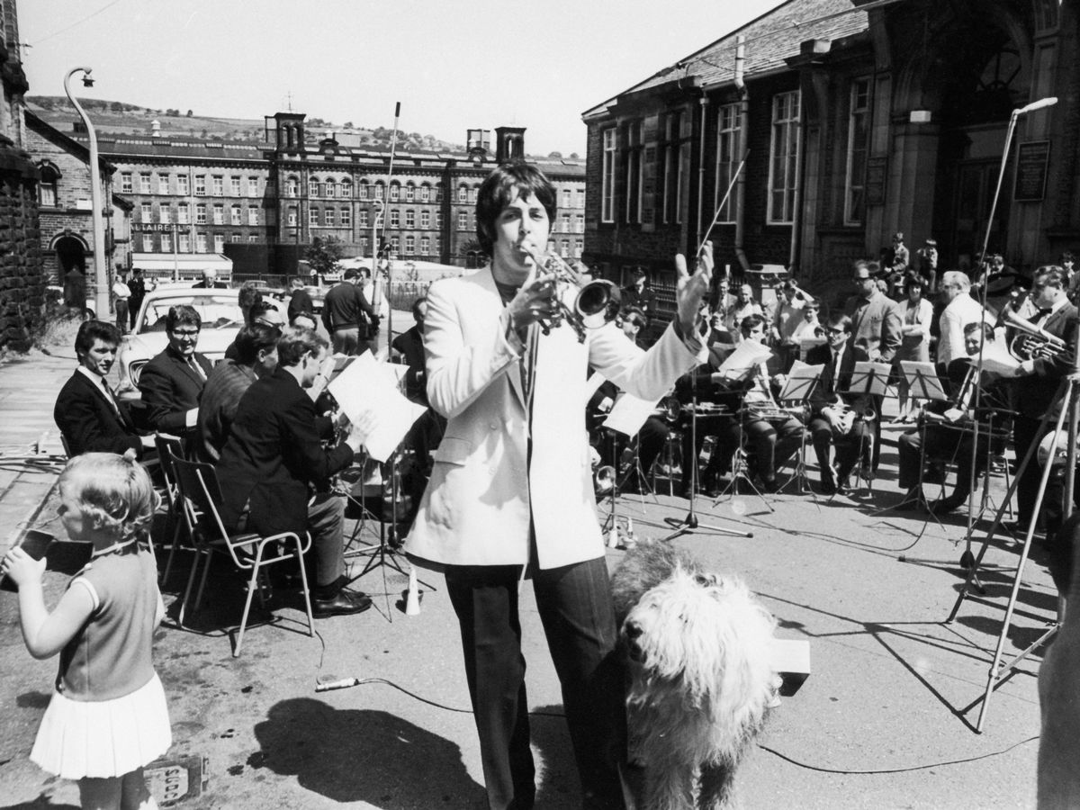 Paul McCartney's dog - Martha - Paul McCartney, Dog, Longpost