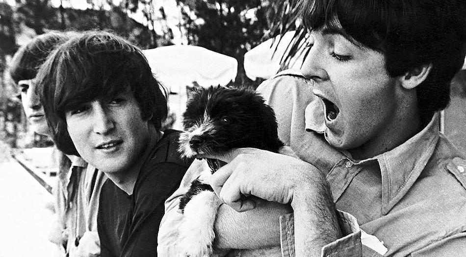 Paul McCartney's dog - Martha - Paul McCartney, Dog, Longpost