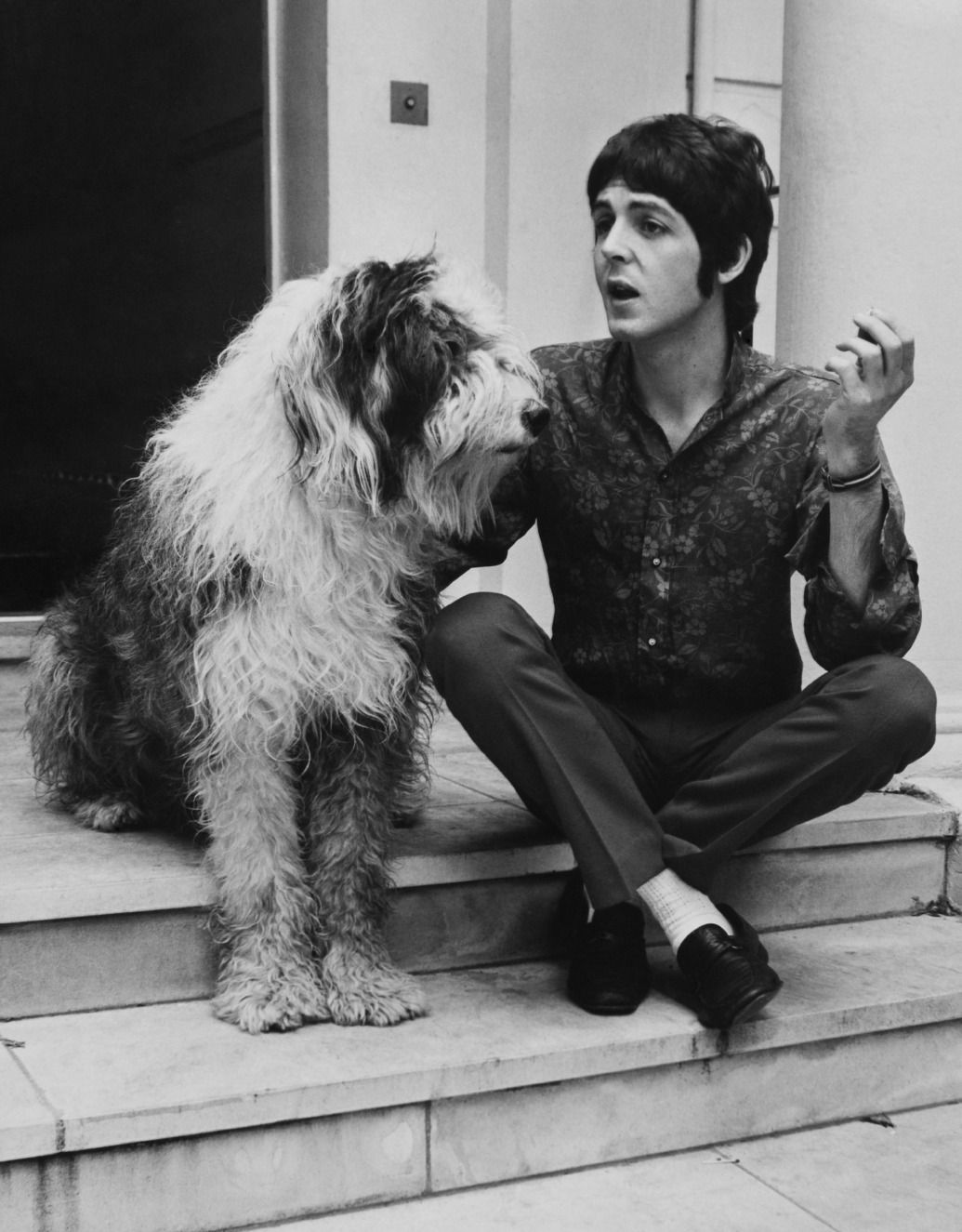 Paul McCartney's dog - Martha - Paul McCartney, Dog, Longpost