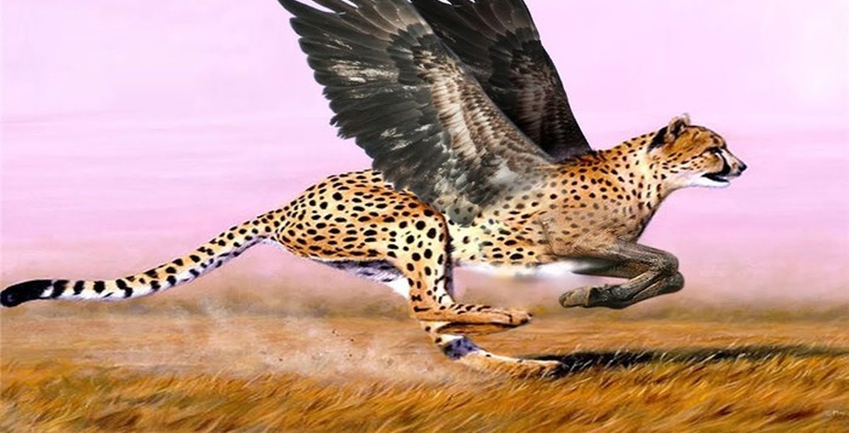 Быстрее лучшие сильнее. Гепард. Быстрое животное. Скорость гепарда. Гепард самое быстрое животное в мире.