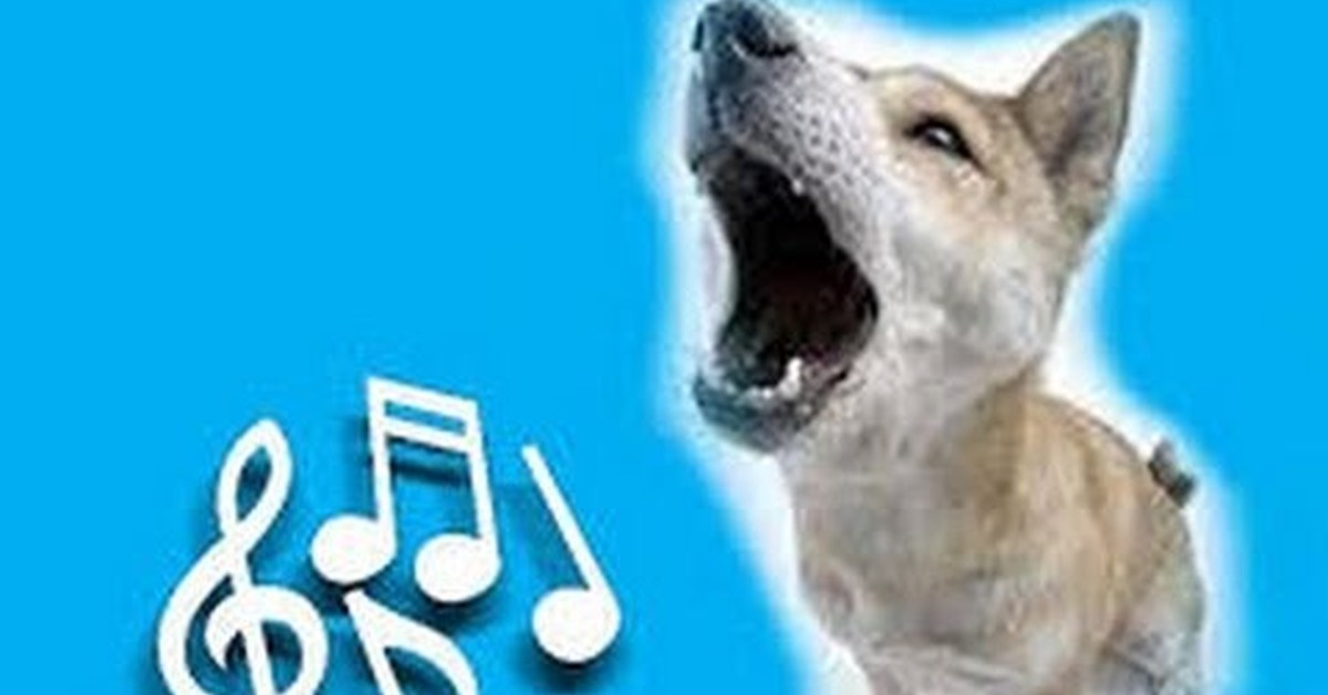 Видео собачка песня. Собака поет. Музыкальная собачка. Песня о собаке. Собака поет песню.