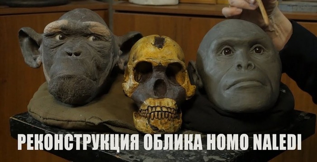 хомо наледи реконструкция. реконструкция внешности марка аврелия. лера фрост до и после операции. видео облика. видео облика.