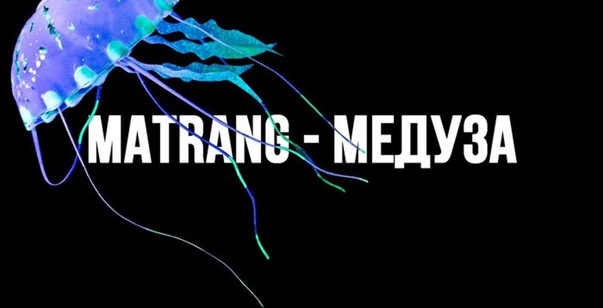 Слушать музыку матранг. Matrang медуза. Медуза альбом. Обложка медуза. Медуза песня.