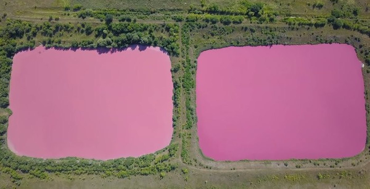 Водоем который окрашивается в нежно розовый цвет