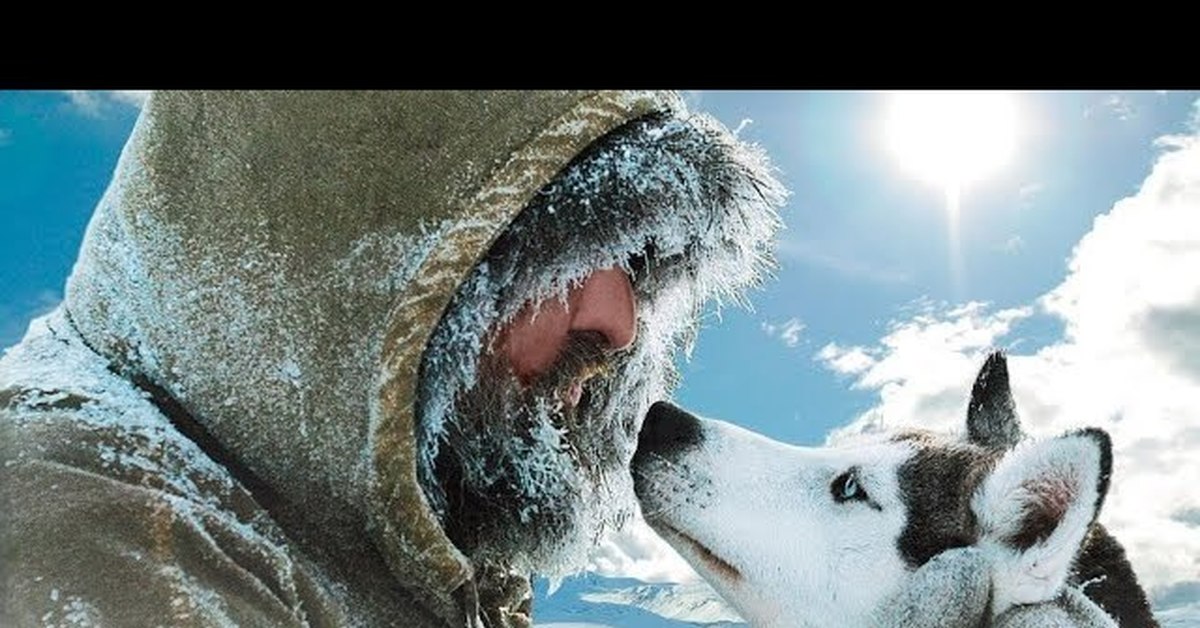 капкан охотничий. российский фильм зверолов. как выглядит охотничья которая охотится по норкам. замок лорда валентина роберт силверберг. рудазов александр «метавселенная рудазова».