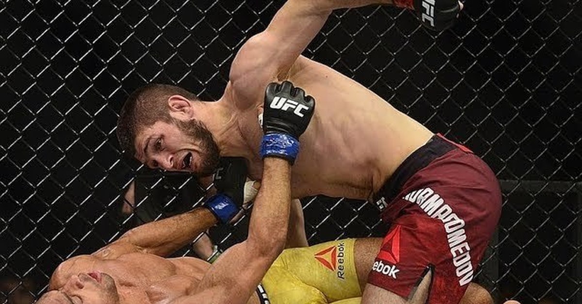 Последний бой хабиба нурмагомедова год в ufc. ММА бой Хабиба Нурмагомедова.