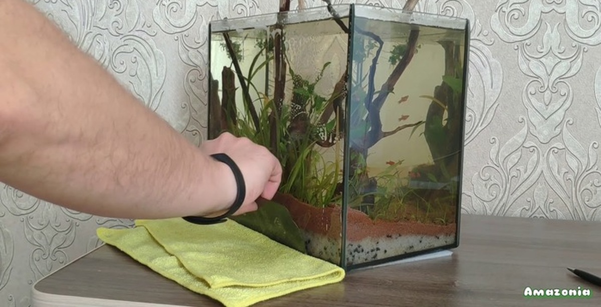 Как приклеить задний фон на аквариум. Как приклеить задний фон на аквариум. Самоклеющаяся пленка для аквариума. Приклеивание пленки самоклейки. Наклейки на заднюю стенку аквариума.