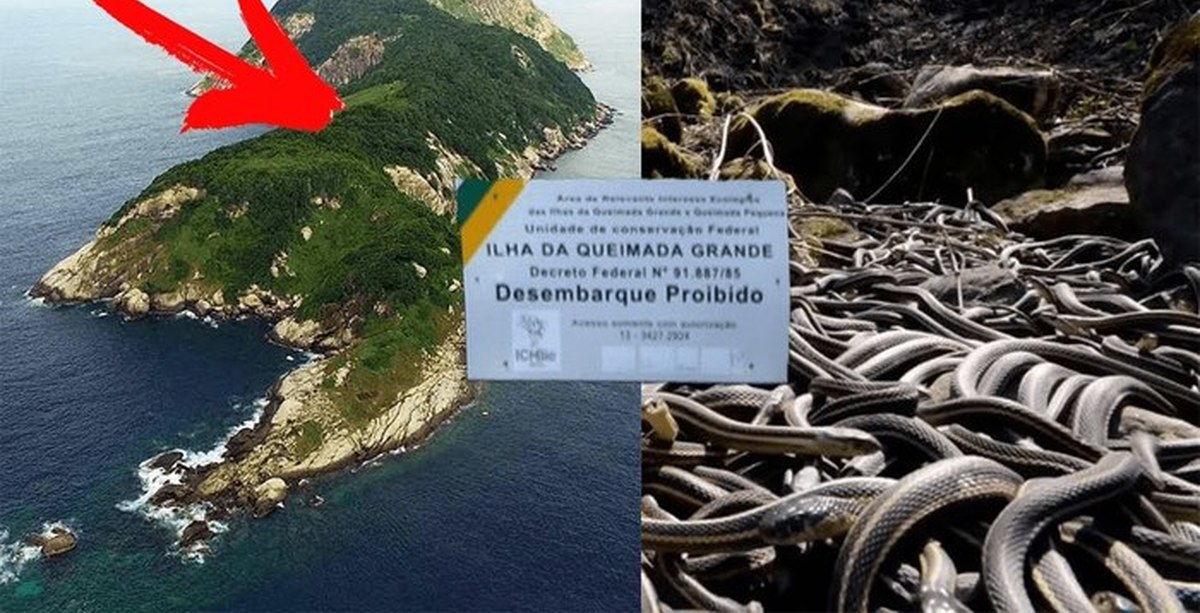 Почему не было острова. Кеймада-Гранди змеиный остров. Остров змей в Бразилии Кеймада Гранди. Самый опасный остров Кеймада Гранди. Маяк на острове Кеймада-Гранди.