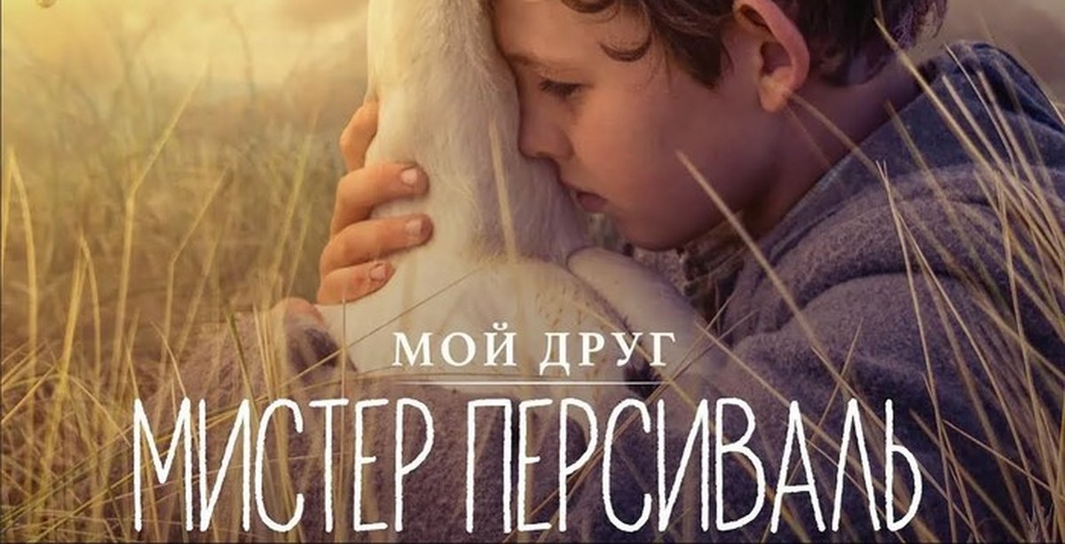 Мой друг мистер персиваль отзывы. Мой друг Мистер Персиваль (2019). Пеликан Персиваль.