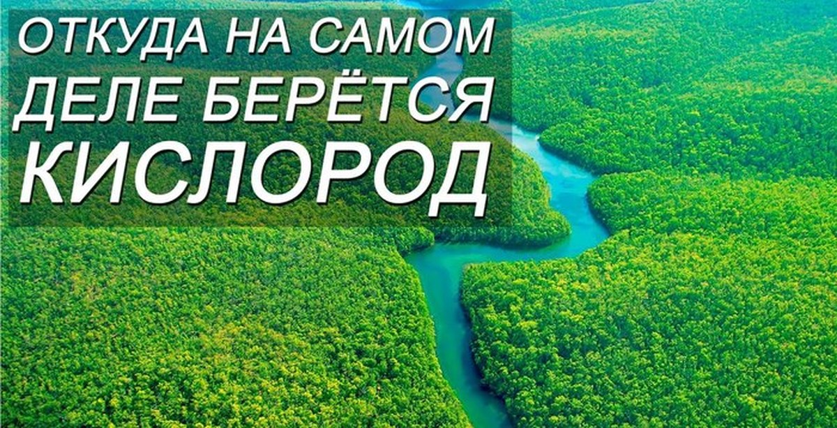 Возник кислород. Откуда берется кислород. Откуда ььеретсякислорд. Откуда берется кислород на планете. Откуда берется кислород в природе.