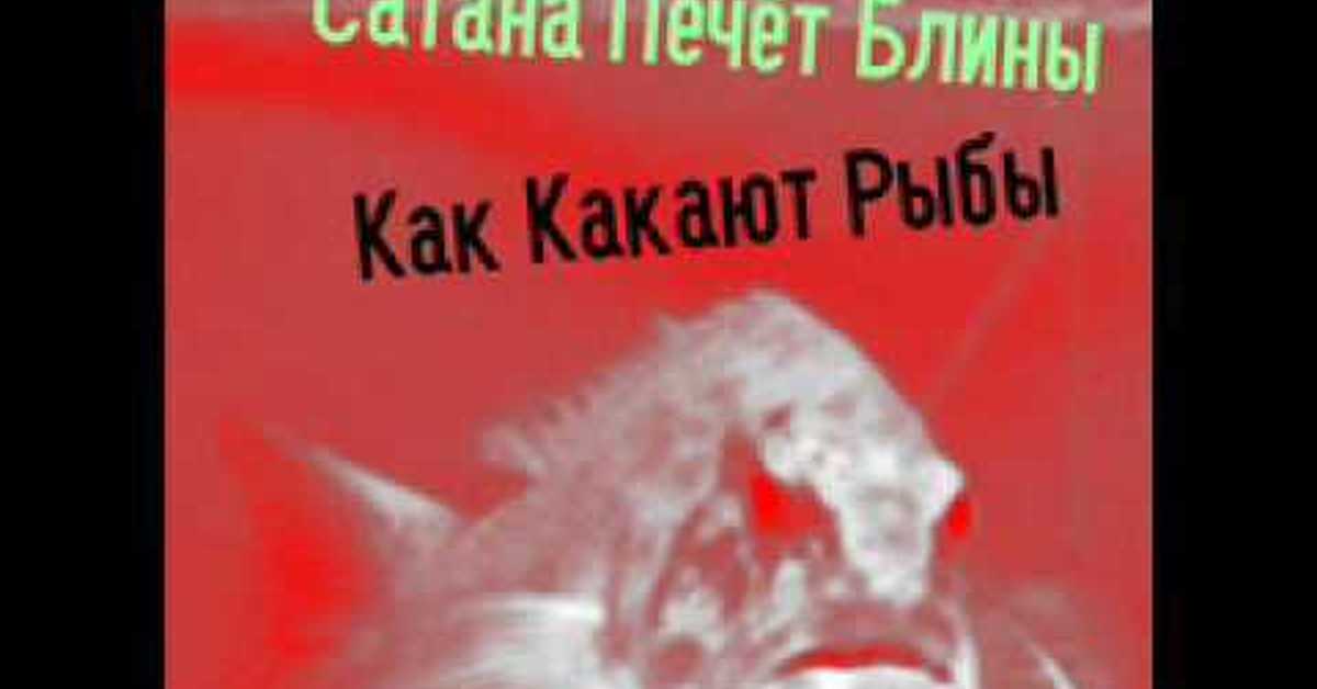 Как какают рыбы