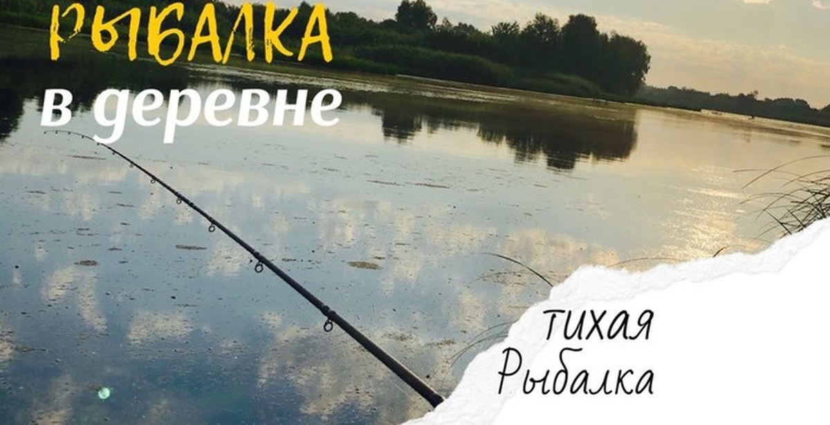 Заклинатель змей | Пикабу