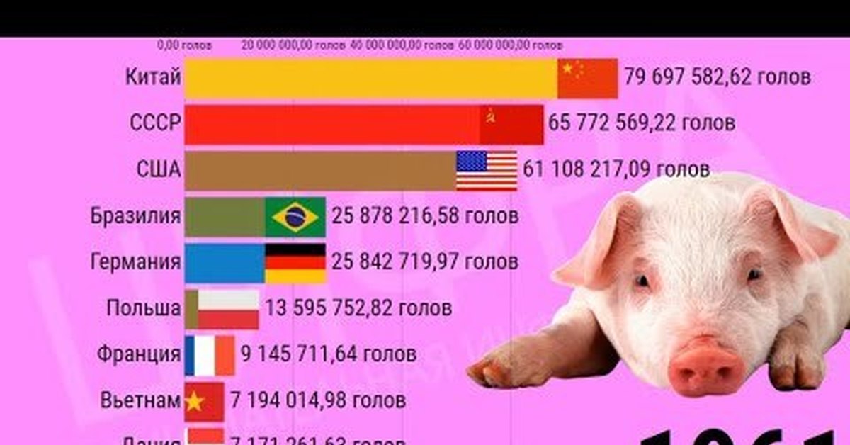 Свиноводство страны производители 3 страны. Свинка статистика. Поголовье свиней в России в 2020 году Росстат. Свиноводство страны. Количество свиней в мире.